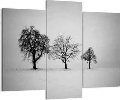 Produktbild von Bild auf Leinwand - Leinwandbild - 3 Teile - Winter Bäume Schnee - 130x100cm - Wand Bild - Wanddeko - Wandbilder - Leinwanddruck - Bilder - Wanddekoration - Leinwand bilder - Wandbild - CB130x100-4958