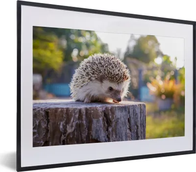 Produktbild von MuchoWow® MuchoWow® Gerahmtes Poster Igel auf einem Baumstamm 40x30 cm - Poster mit zchwarzem Bilderrahmen - Bilderrahmen - Poster im Rahmen