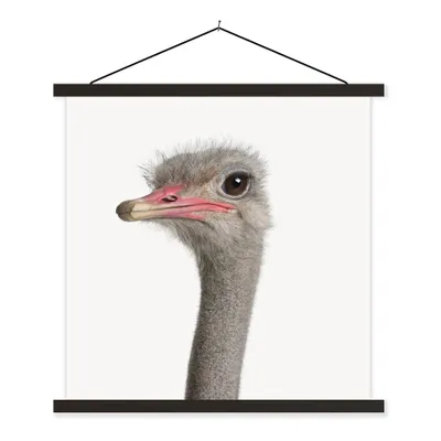 Produktbild von MuchoWow® Textilposter Strauß - Tiere - Kinder - Jungen - Mädchen - Vogel 60x60 cm mit schwarzem Rahmen - Posteraufhänger
