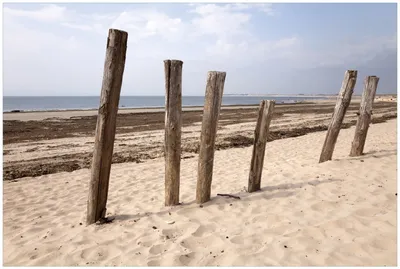 Produktbild von Wallario Premium Glasbild, freischwebende Optik, kräftige Farben, Größe 90 x 60 cm Motiv Sandstrand mit Holzpfählen am Atlantischen Ozean