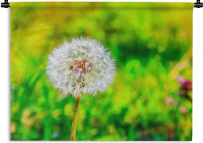 Produktbild von MuchoWow® Wandteppich Wandbehang Löwenzahn - Gras - Blume 90x67.5 cm Tapisserie Dekoration Wandtuch - Fototeppich - Wand-Skulpturen
