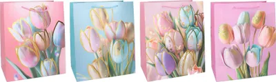 Obrázek produktu pro Dárková taška M 32x26x10 cm Celorok