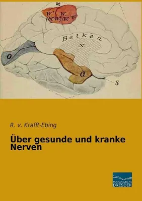 Produktbild von Über gesunde und kranke Nerven