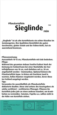 Produktbild von Pflanzkartoffel Sieglinde (10 Stück) (gelb, vorwiegend festkochend, früh) | Pflanzkartoffeln von Quedlinburger