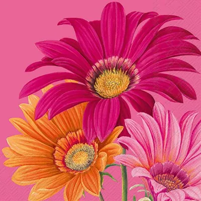 Produktbild von Servietten 25x25 cm - JOYFUL GERBERA pink