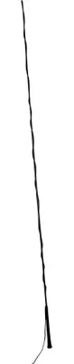 Zdjęcie produktu dla Redhorse Lunge Bat jeździecki czarny 200 cm Czarny 200 cm