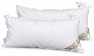 Produktbild von 2 Stück Betten Hofmann superweiche Daunenkissen 40x80 Kopfkissen 250 g 100% neue Daunen soft