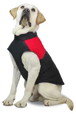 Productafbeelding van Hondenkleding - Winterjas van Katoen - Rood - Maat S