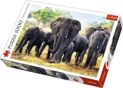 Obrázok produktu pre Trefl 10442, 1000 kusov, 12 rok / roky