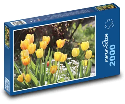 Obrázek produktu pro martinpuzzle - Puzzle 2000 - Žluté tulipány