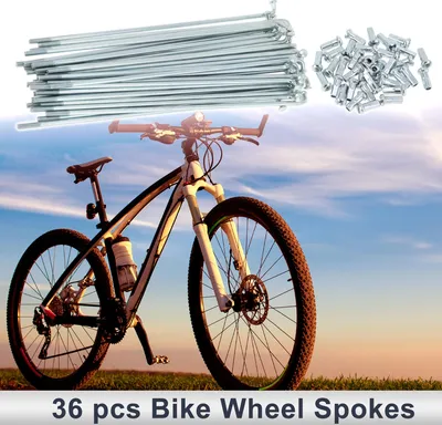 Image de 1 Ensemble De Rayons De Vélo Universels 12G 141Mm Longueur Rayons De Roue De Vélo Téton En Acier Au Carbone Ton Argent Galvanisé
