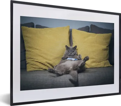 Produktbild von MuchoWow® MuchoWow® Gerahmtes Poster Katze - Bank - Faule 40x30 cm - Poster mit zchwarzem Bilderrahmen - Bilderrahmen - Poster im Rahmen