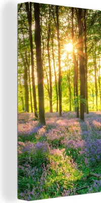 Produktbild von MuchoWow® - Leinwandbilder - Frühling - Wald - Sonne, Wandbild, Wanddeko Bilder Wohnzimmer, 40x80cm