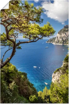 Produktbild von ARTland Poster Punta de Masullo, Insel Capri, Italien Größe: 60x90 cm