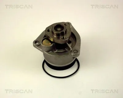 Produktbild von TRISCAN Wasserpumpe 8600 24009