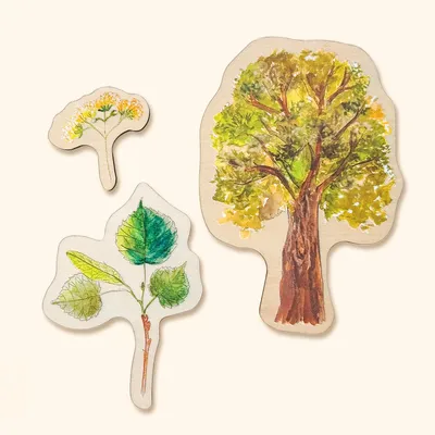 Obrázek produktu pro Dřevěné puzzle - Stromy