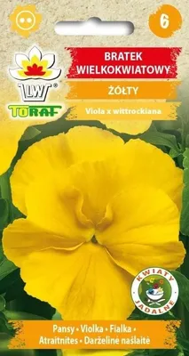 Zdjęcie produktu dla Bratek wielkokwiatowy żółty NAsiona kwiatów - 459 Toraf