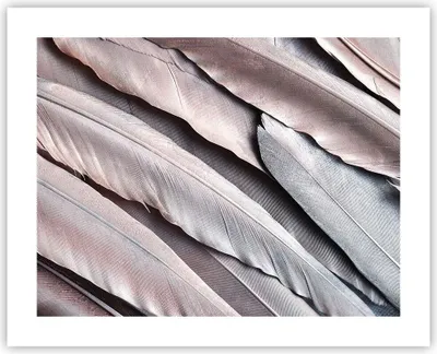 Produktbild von Poster - Poster ohne Rahmen - Federn Flügel Feder - 50x40 cm - Wand Bild - Wanddeko - Wandbilder - Kunstposter - Wandposter - Bilder - Kunstdruck - Wanddekoration - Wandbild - P2XAA50x40-5114