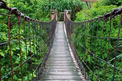Produktbild von Fototapete - Footbridge 375x250cm - Vliestapete