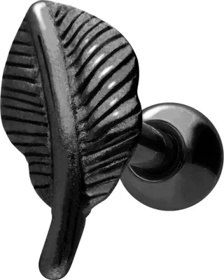 Produktbild von Ohrpiercing Chirurgenstahl Ohrpiercing FEDER