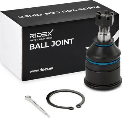 Produktbild von RIDEX Traggelenk Vorne Unten Vorne Unten für HONDA CIVIC VI Hatchback (EJ, EK) 2462S0022