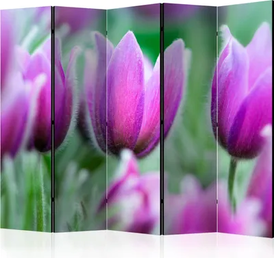 Produktbild von 5-teiliger Einseitiger Vlies Paravent - Purple spring tulips II 225x172 cm Blumen b-C-0456-z-c
