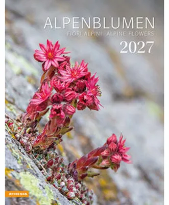 Produktbild von Athesia Kalender Alpenblumen 2027 mit Spiralbindung und viersprachigem Kalendarium