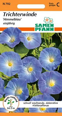 Artikelbild 1 von 'Trichterwinde Blau' aus der Kategorie Windensamen
