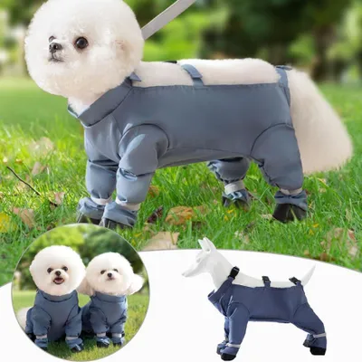 Produktbild von Neue schmutzabweisende Vierbeinerhose für Haustiere, Hundespaziergang, Bauchstaubhose, verschleißfeste, wasserdichte Hundekleidung, L