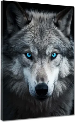 Produktbild von Wolf frontal Leinwandbild Wandbild Kunstdruck XL Wanddeko: 90x120x4cm