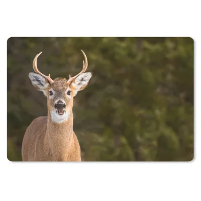 Produktbild von MuchoWow® Schreibtischunterlage Hirsche - Hirschkopf - Natur 60x40 cm - XXL Mauspad - Großes Mauspad