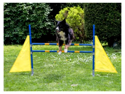 Produktbild von Profi Agility Hürde für das Hundetraining - höhenverstellbar und FCI-konform