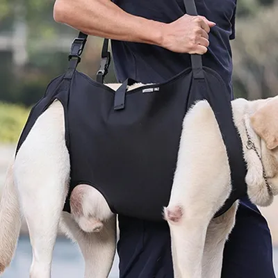 Produktbild von Zimtky Hundetragegeschirr Hebegeschirr Größe M für Hunde & Haustiere zur Unterstützung & Rehabilitation, mit verstellbaren, atmungsaktiven Gurten, aus Oxford-Gewebe, weiche Polster an den Griffen, geruchs- & fleckenabweisend