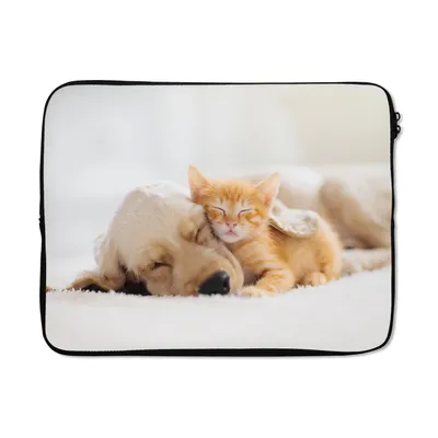 Produktbild von MuchoWow® Laptop Hülle 17 Zoll Laptoptasche Tiere - Hund - Kätzchen - Rot - Zipper - Schutzabdeckung