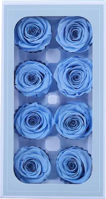 Produktbild von Stück konservierte Rosen, Schönheit, lichtecht, realistisch, ewiges Blumenarrangement, Geschenk für die Dekoration von Home Party