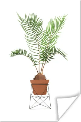 Produktbild von MuchoWow® Poster Pflanzen - Palme - Blumentopf 120x180 cm - Kunstposter