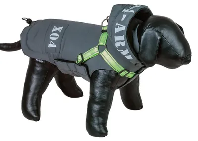 Hundemantel 2-in-1 mit Geschirr, grau, 44 cm