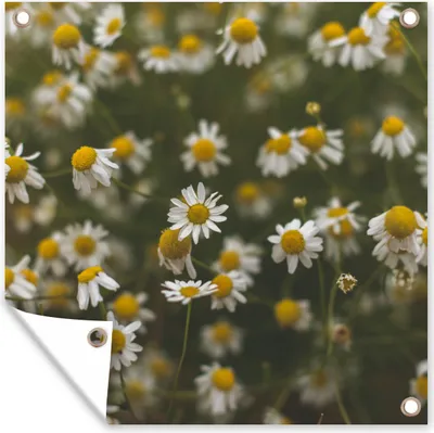 Produktbild von MuchoWow® 100x100 cm Outdoor-Poster Gartendeko Sichtschutz Garten Poster für den Garten  Blumen - Frühling - Natur