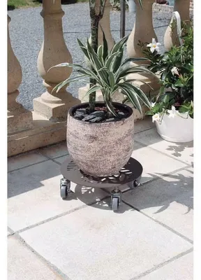 Produktbild von Dekorativer brauner Pflanzenständer mit Rollen, Ø 30 cm, Höhe 8,5 cm, für Blumentöpfe