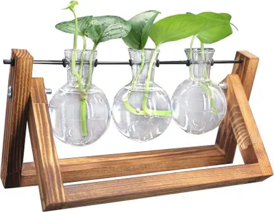 Produktbild von Deko Holz Halter mit Hydroponik Glasvase Hängevase Blumenvase Tischvase Dekovase (3 Vase)