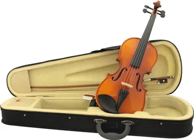 Immagine prodotto di DIMAVERY Violino 3/4 con arco, in custodia