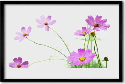 Produktbild von Bild 60x40 MDF-Rahmen Wandkunst Blumen Pflanzen