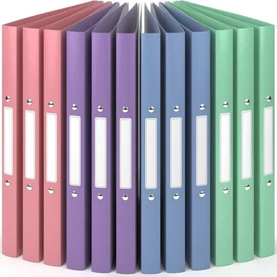 Produktbild von 12 x A4-Blätter 2-Ring-Ordner - Natur - Wind-Kleurencollectie - 25 cm breite Schreibtischordner mit Etiketten