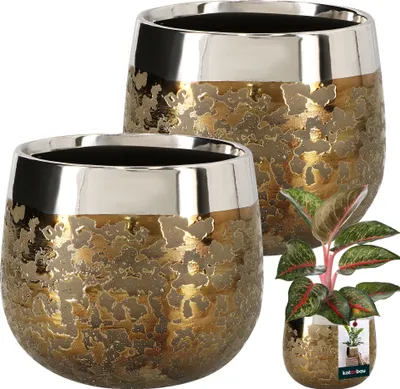 Two decorative ceramic pots with a gold and silver speckled finish, one smaller than the other, are shown against a white background. A small potted plant is placed in front of the smaller pot.