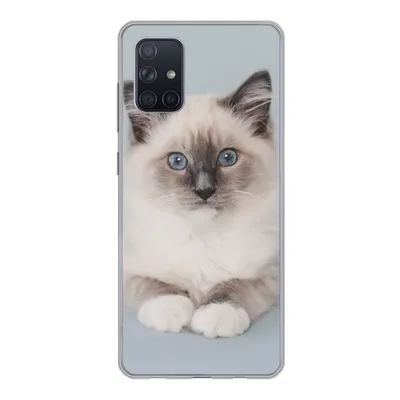 Produktbild von MuchoWow® Handyhülle Schutzhülle Hülle für Samsung Galaxy A51 Katze - Ragdoll Katze - Blau - Mädchen - Kinder - Jungen - Kind Silikon Softcase Handy Hülle - Schutzabdeckung