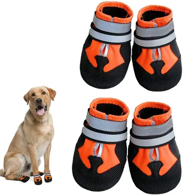 Produktbild von Wasserdichte Hundeschuhe mit reflektierenden Streifen, orange, Größe M