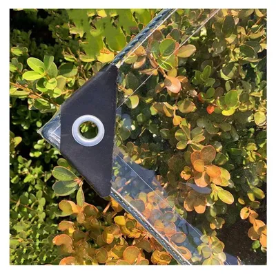 Image de Bâche de protection transparente, imperméable et résistante aux déchirures, dimensions 2,4 x 3 mètres
