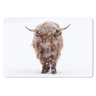 Produktbild von MuchoWow® Schreibtischunterlage Schottischer Highlander - Kuh - Schnee 60x40 cm - XXL Mauspad - Großes Mauspad
