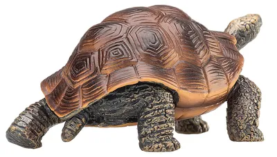 Zdjęcie produktu dla Mojo Fun Giant Tortoise, 3 lat(a), Wildlife, Brązowy, Polichlorek winylu (PVC)