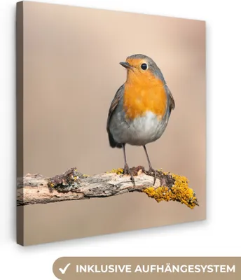 Produktbild von MuchoWow® - Leinwandbilder - Rotkehlchen - Vogel - Zweig - Tiere, Wandbild, Wanddeko Bilder Wohnzimmer, 20x20 cm